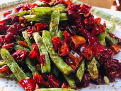 -丁老爷子苏香圆