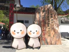 -王顺山国家森林公园