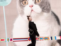 -方浜中路45弄小区