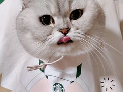 -星巴克(天津五大道店)