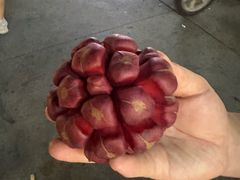 -曼阁市场水果批发市场