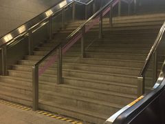 -上海动物园(地铁站)