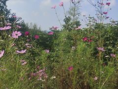 -茅山东方盐湖城景区