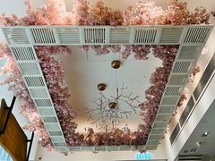 -豚王拉面(铜锣湾店 )