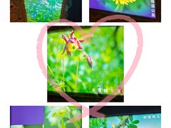-吉林省自然博物馆