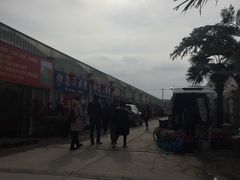 -龙大花卉苗木市场