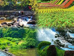 -广州市石门国家森林公园