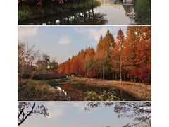 -虎丘湿地公园