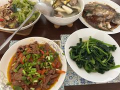 -田螺阿姨自营月嫂·育儿嫂(高新店)