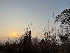 -粤香村(清真川菜店)