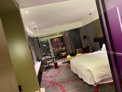 -南京禄口机场雅高铂尔曼大酒店