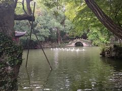 -绮园景区