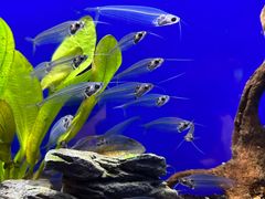 -上海海洋水族馆