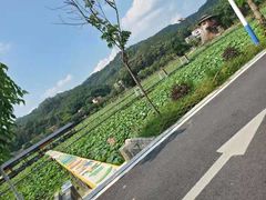 -红山村