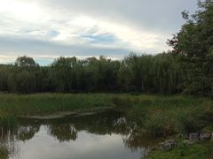 -北坞公园
