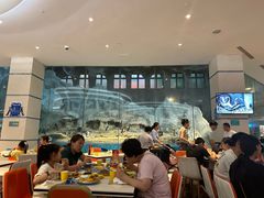 -帝企鹅自助餐厅•儿童岛•真企鹅(长隆企鹅酒店)