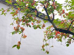 -拙政园