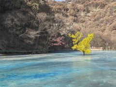 -少华山国家森林公园