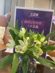 -LIHER北京丽合医疗美容医院