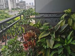 -茶油香闽南菜·花园餐厅(前埔店)