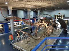 -国家自然博物馆