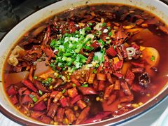 毛血旺-雲蜀龙阁·金牌水煮鱼(方庄店)