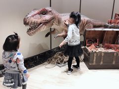 -影汇之星8字形摩天轮