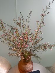 -联合丽格·张菡丽格医疗美容