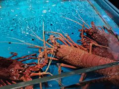 -徐记海鲜(大雁塔|金都店)