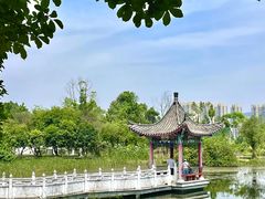 -青龙山国家森林公园