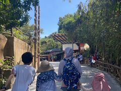 -海南槟榔谷黎苗文化旅游区