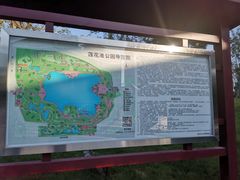 -莲花池公园