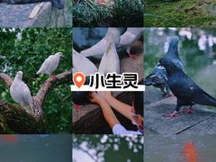 -西园寺