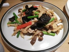 -天怡興·百年蒸饺(中心书城店)