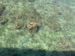 -三亚西岛海洋文化旅游区