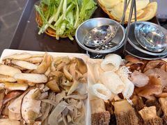 -蘑统田下·野生菌火锅