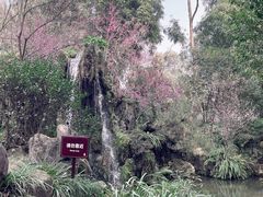 -成都杜甫草堂博物馆