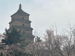 -大慈恩寺(大雁塔)
