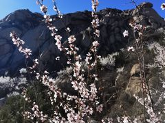 -北京凤凰岭