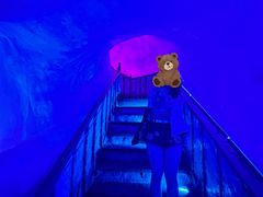 -芦芽山旅游度假区