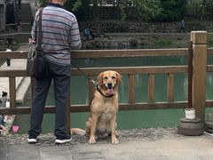 -鹿亭中村