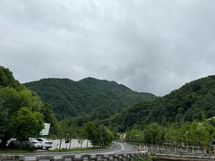 -牛背梁国家森林公园