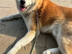 -中粮·祥云小镇