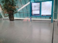 -龙阳路磁悬浮列车总站-停车场