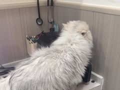 -佑安动物医院·全科·内窥镜中心(幸福巷店)