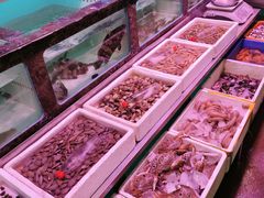 -长平肥姐白粥·海鲜打冷