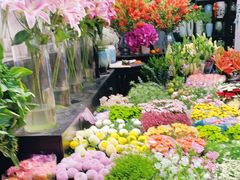 -双季花艺园艺市场(浦东店)
