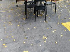 -麦当劳(金山红星美凯龙DT店)