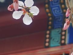 -月坛公园