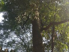 -重庆抗战遗址博物馆